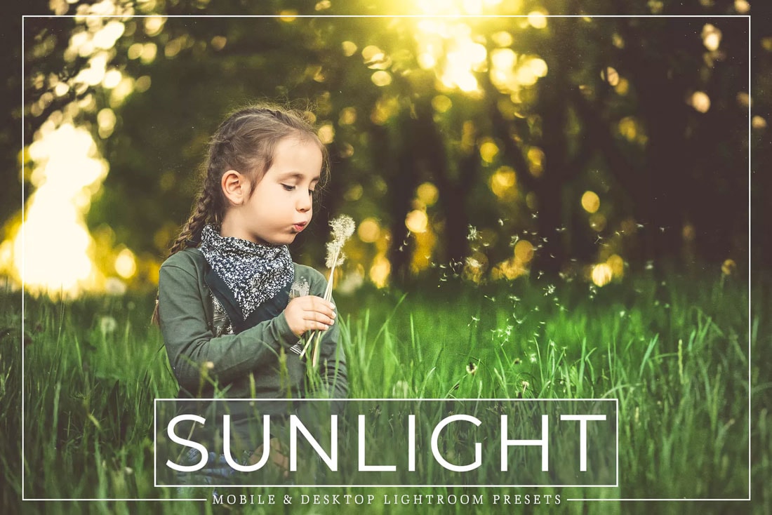 How to Download and Use Lightroom Presets?